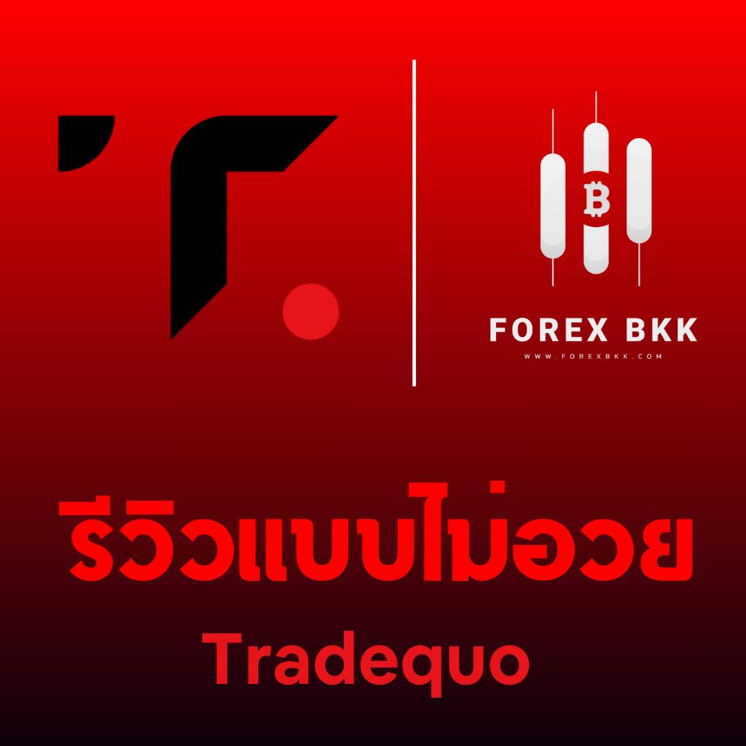  รีวิวโบรกเกอร์ TradeQuo: จุดเด่นที่คุณต้องรู้ก่อนตัดสินใจลงทุน